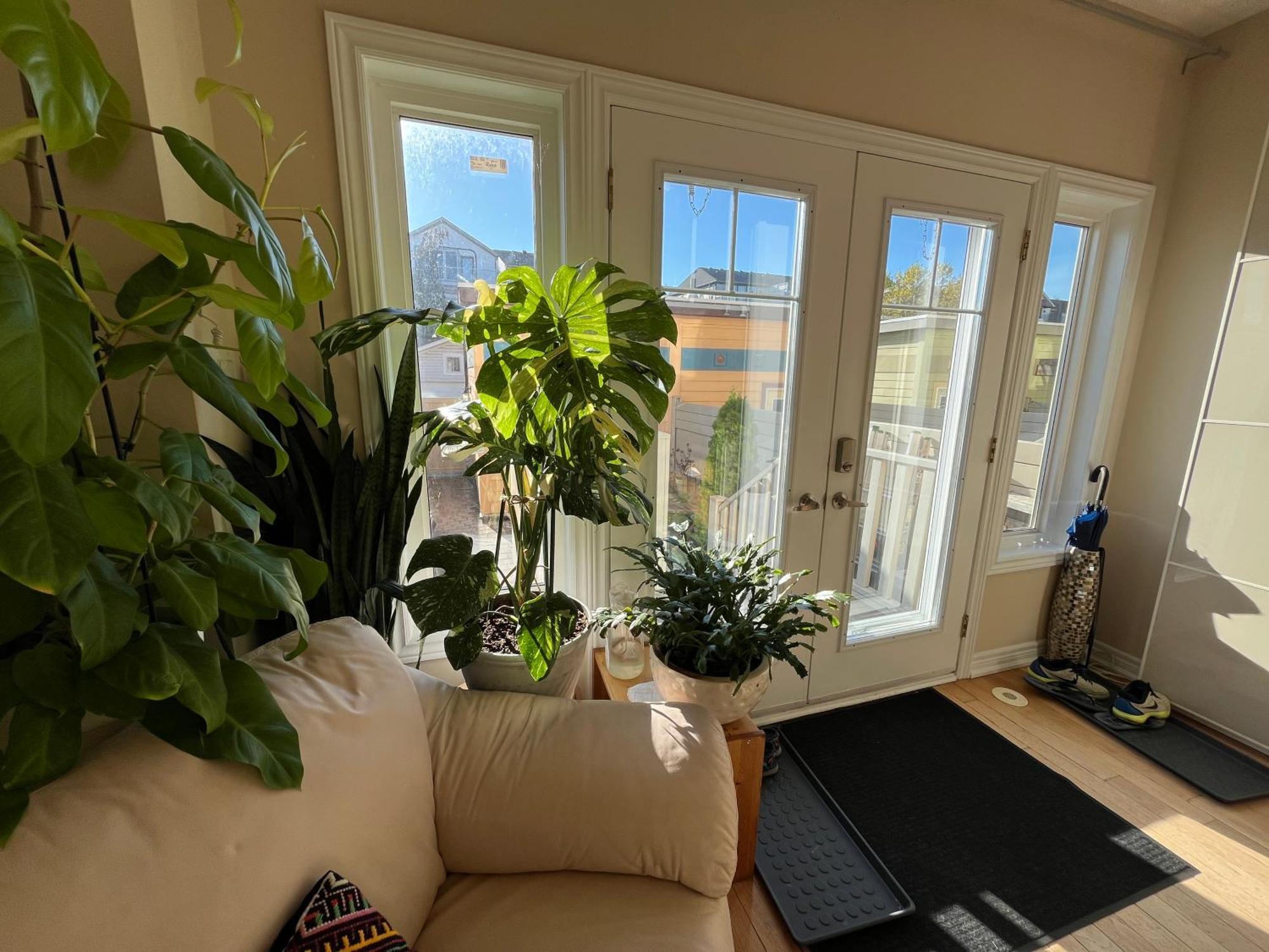 Stunning Rooms In Townhouse Across The Beach โตรอนโต ภายนอก รูปภาพ
